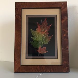 Booker Morey Leaf Lines Maple, Signed Shadow Box